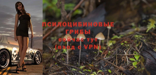 а пвп мука Алексеевка