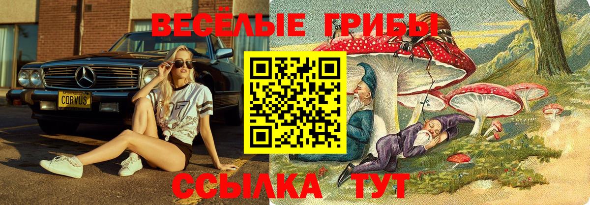 Южно-Сахалинск  Галлюциногенные грибы MAGIC MUSHROOMS  дарнет шоп  Вход с VPN 