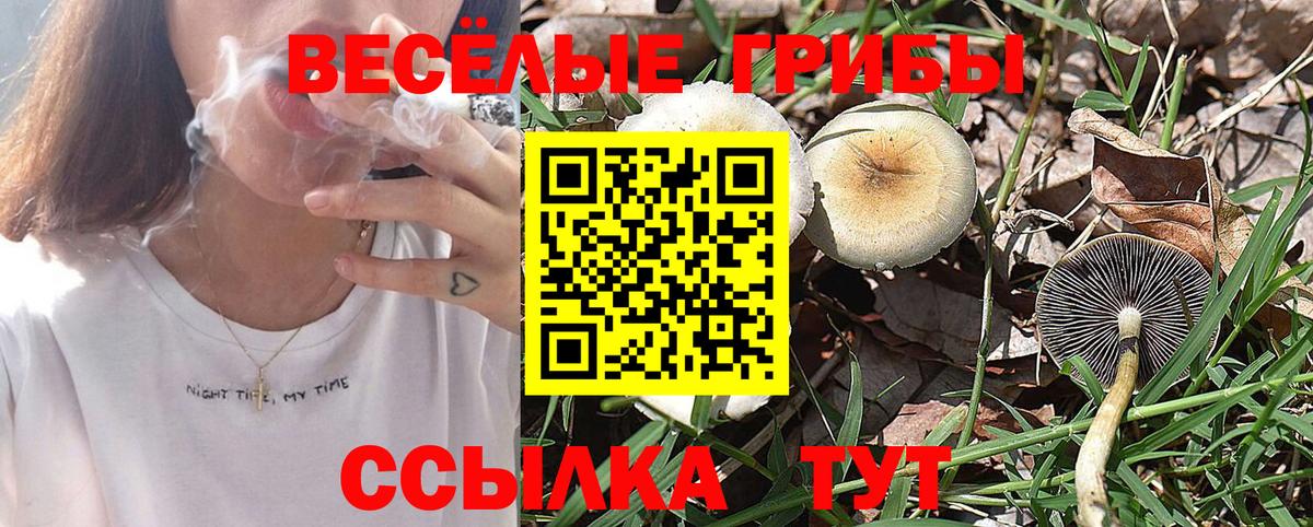 Галлюциногенные грибы GOLDEN TEACHER Южно-Сахалинск