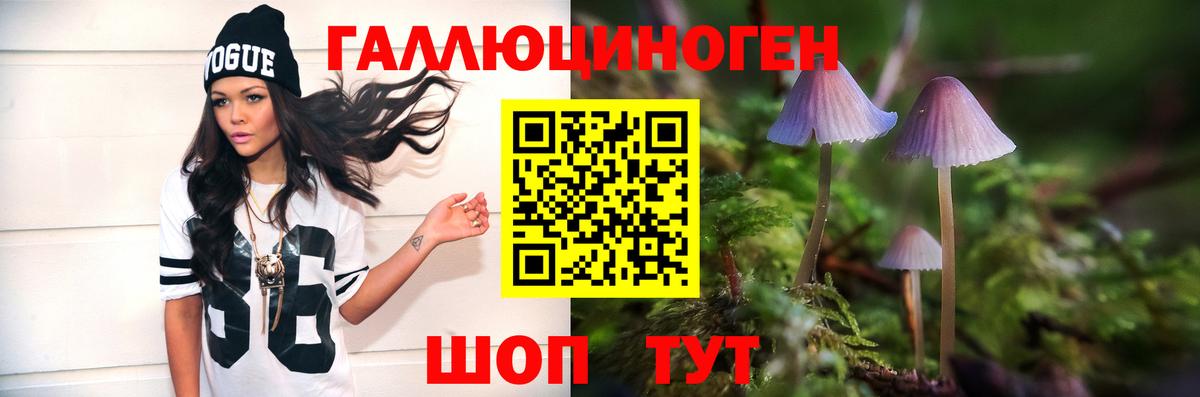 Южно-Сахалинск  Псилоцибиновые грибы MAGIC MUSHROOMS  Вход с VPN 